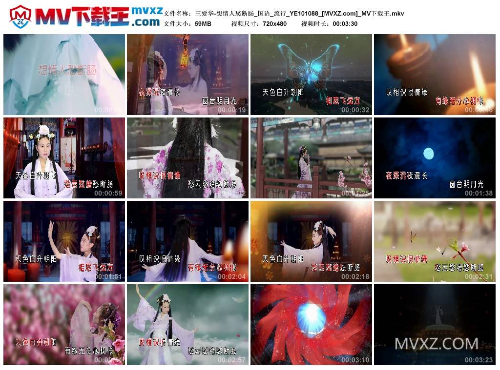 王爱华-想情人愁断肠_国语_流行_YE101088